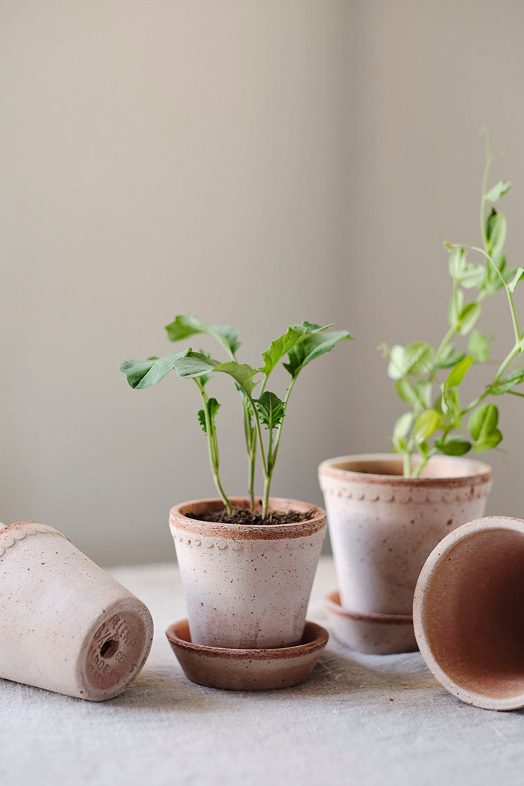 Helena Pot | Rose Clay