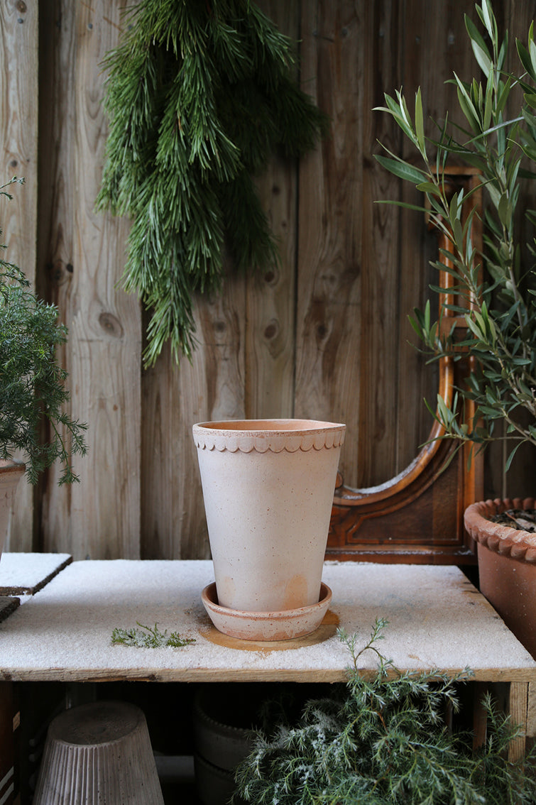 Helena Pot | Rose Clay