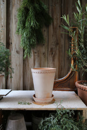 Helena Pot | Rose Clay