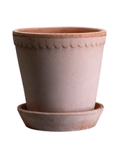 A terracotta-colored ceramic planter pot with a matching saucer, featuring a scalloped rim detail, shown against a plain white background.