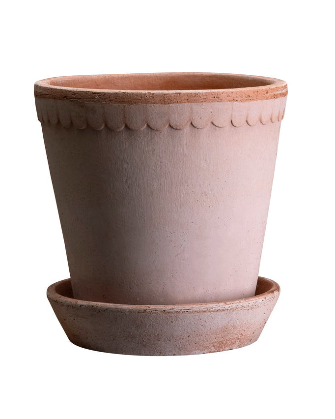 A terracotta-colored ceramic planter pot with a matching saucer, featuring a scalloped rim detail, shown against a plain white background.
