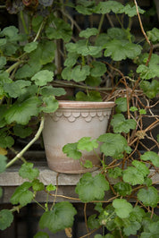 Københavner Raw Rosa Ø30cm