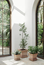 Gaia Pot & Saucer in Rosa Terracotta