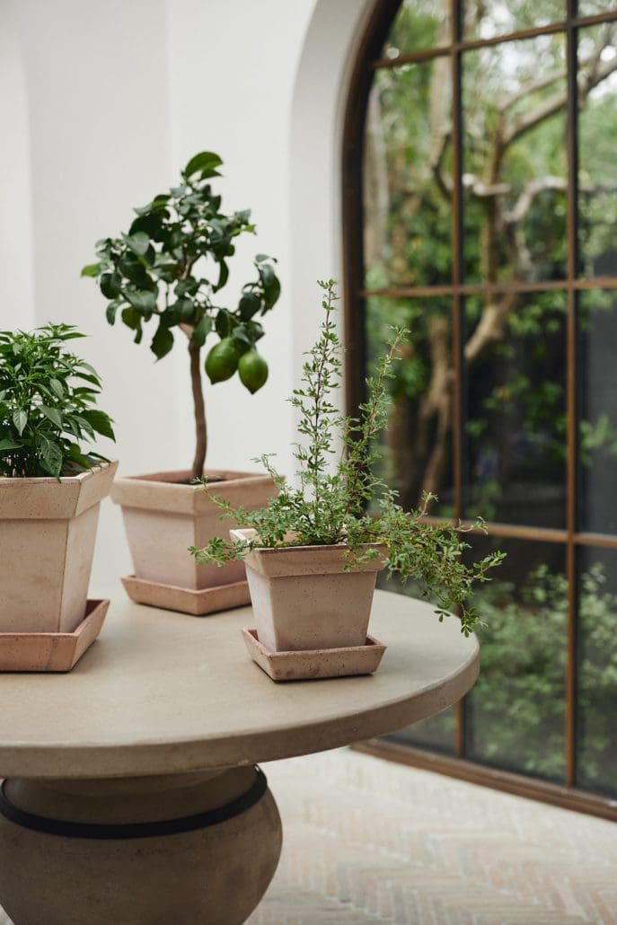 Gaia Pot & Saucer in Rosa Terracotta