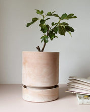 Hoff Pot Ø12cm | Rose Clay