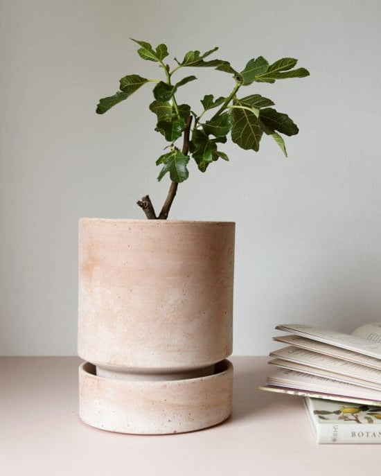 Saucer for Hoff Pot Ø25cm | Raw Clay
