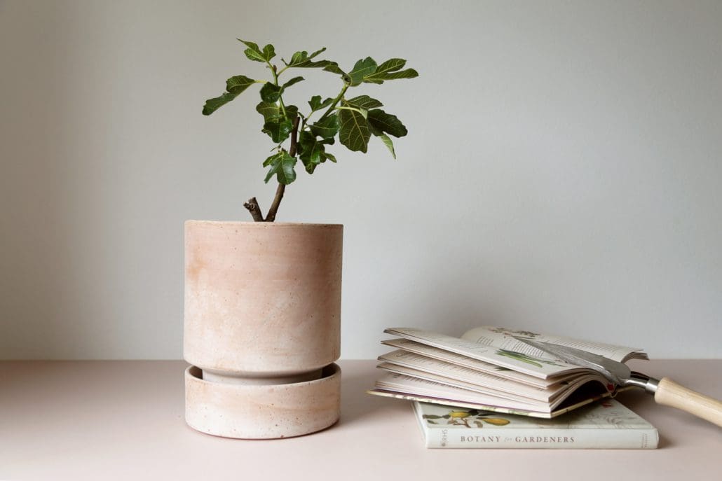 Saucer for Hoff Pot Ø12cm | Raw Clay