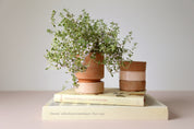 Hoff Pot Ø14cm | Rose Clay