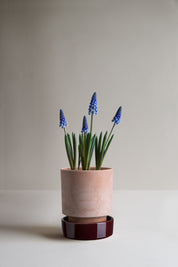 Hoff Pot Ø14cm | Rose Clay