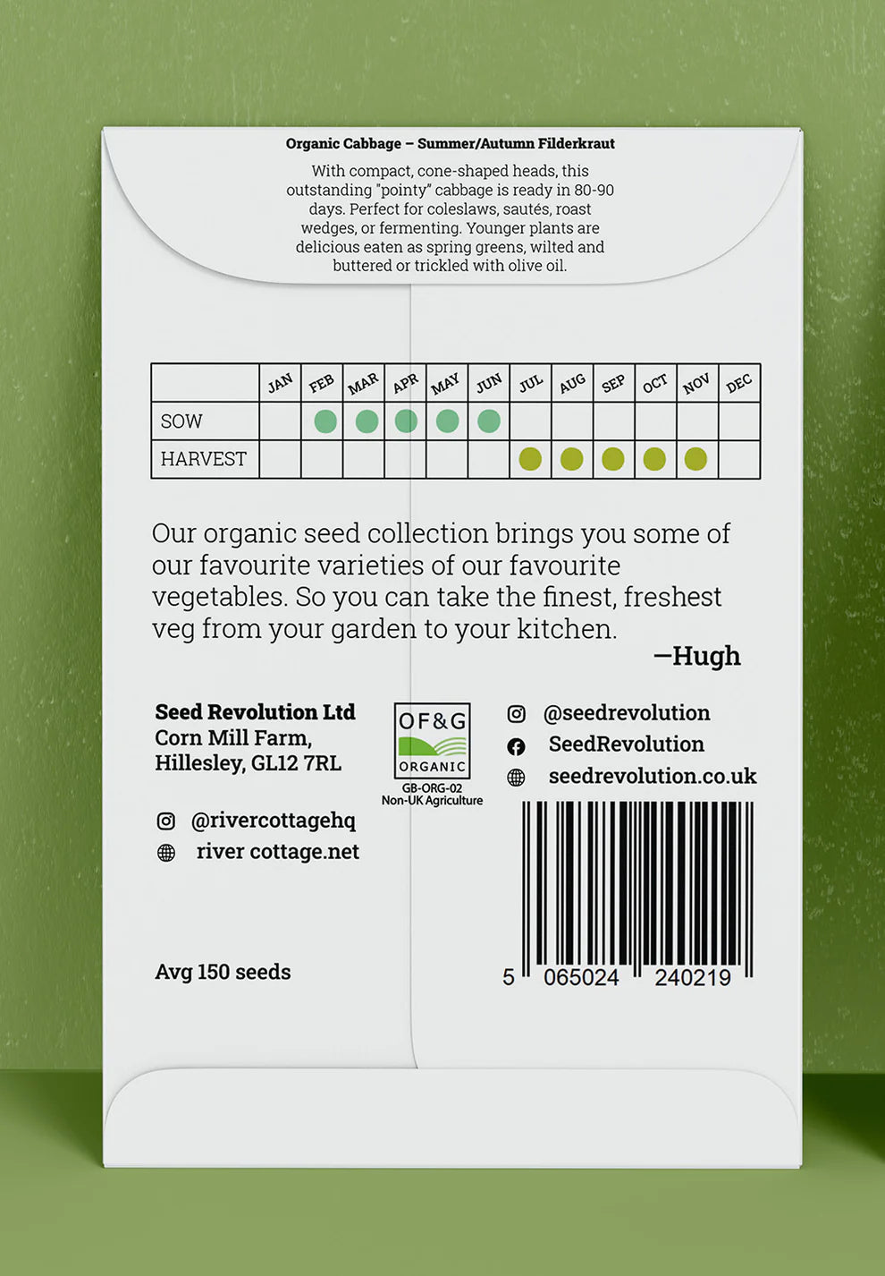 Organic Cabbage Seeds | Filderkraut