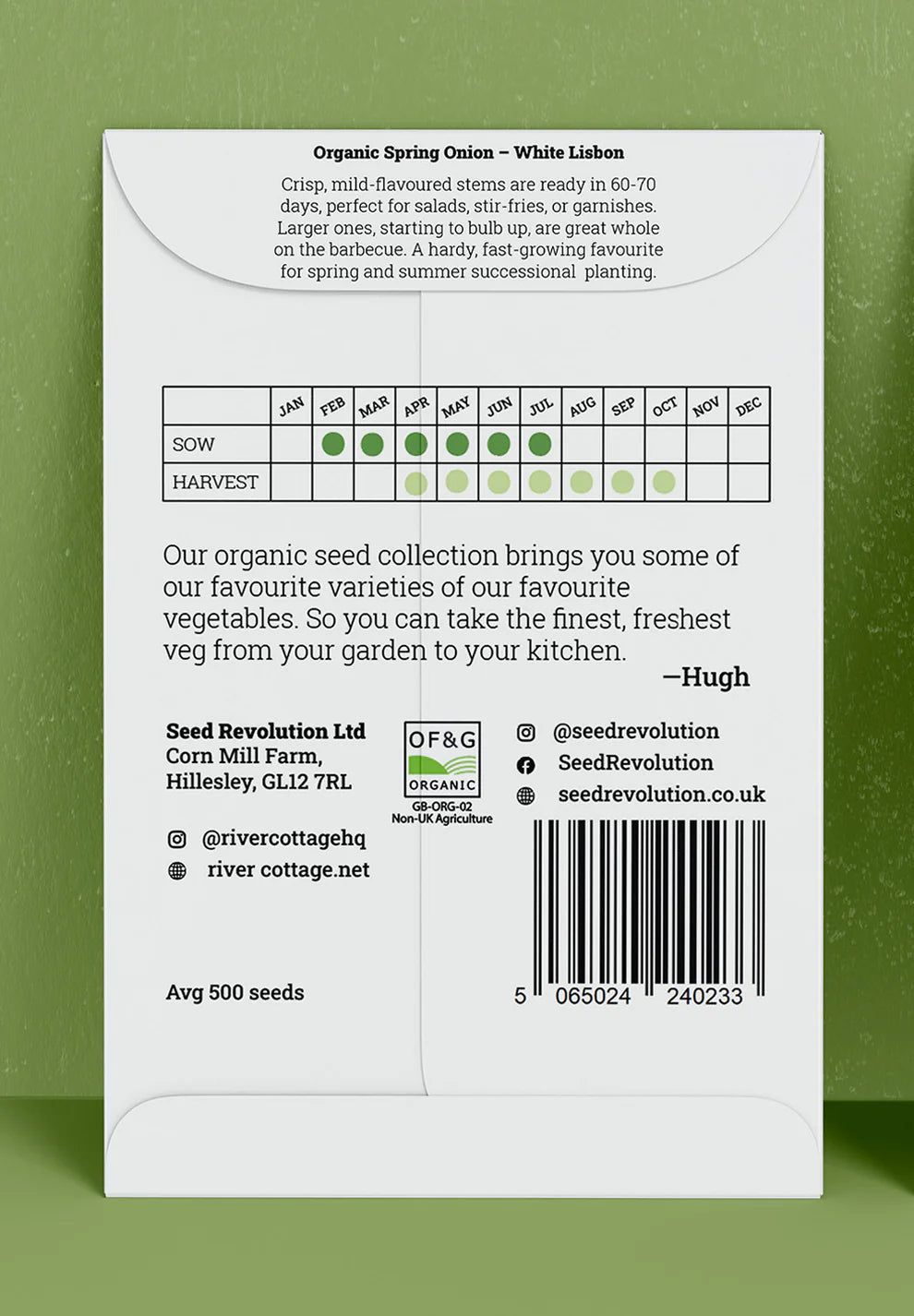 Organic Spring Onion Seeds | White Lisbon