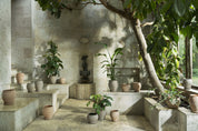 Delphi Rosa Terracotta Pot & Saucer Set