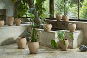 Delphi Rosa Terracotta Pot & Saucer Set