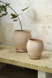 Delphi Rosa Terracotta Pot & Saucer Set