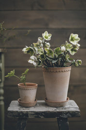 Helena Pot | Rose Clay