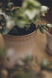 Helena Pot | Rose Clay