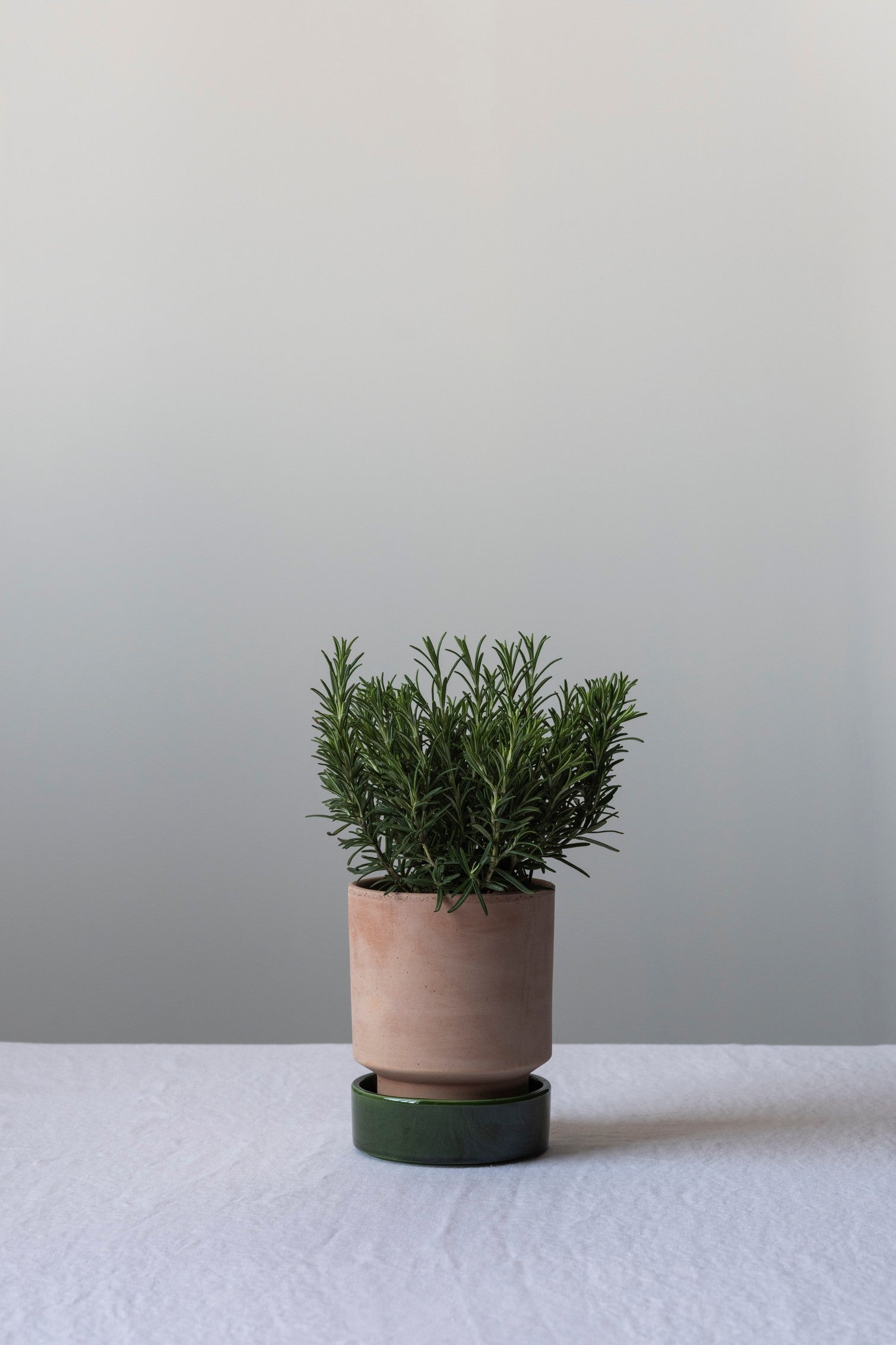 Saucer for Hoff Pot Ø25cm | Glazed