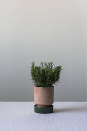 Saucer for Hoff Pot Ø25cm | Glazed