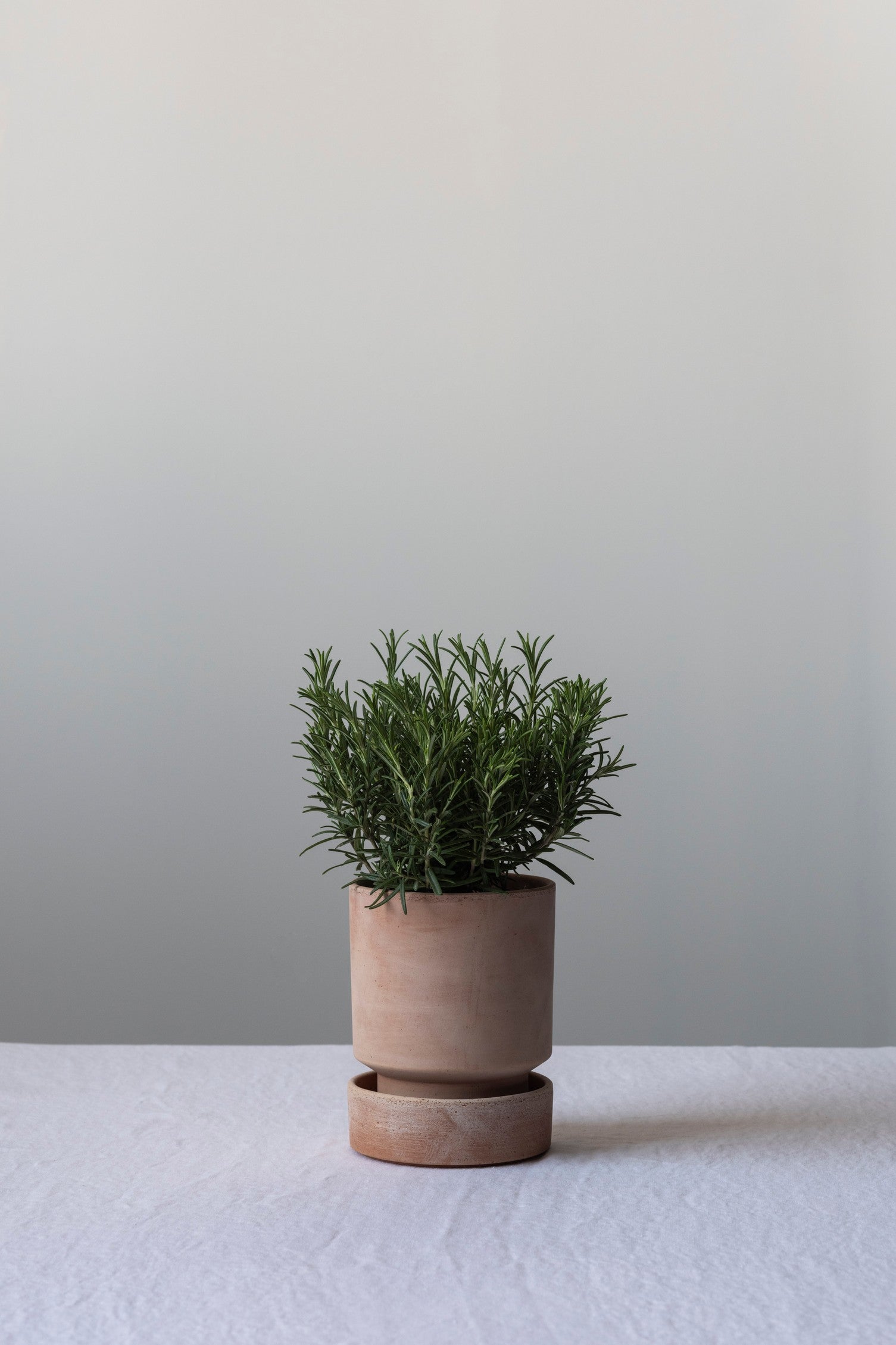 Hoff Pot Ø18cm | Rose Clay