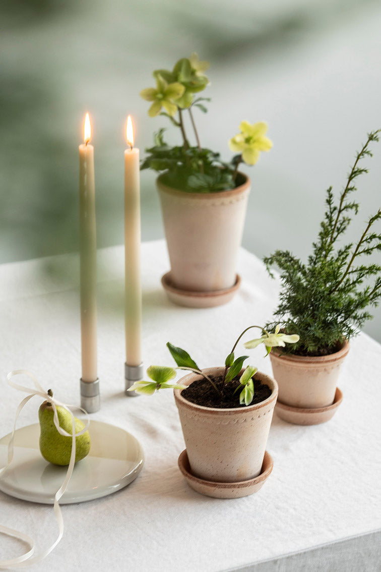 Helena Pot | Rose Clay