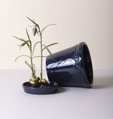 Københavner Plant Pot | Glazed in Sapphire Blue