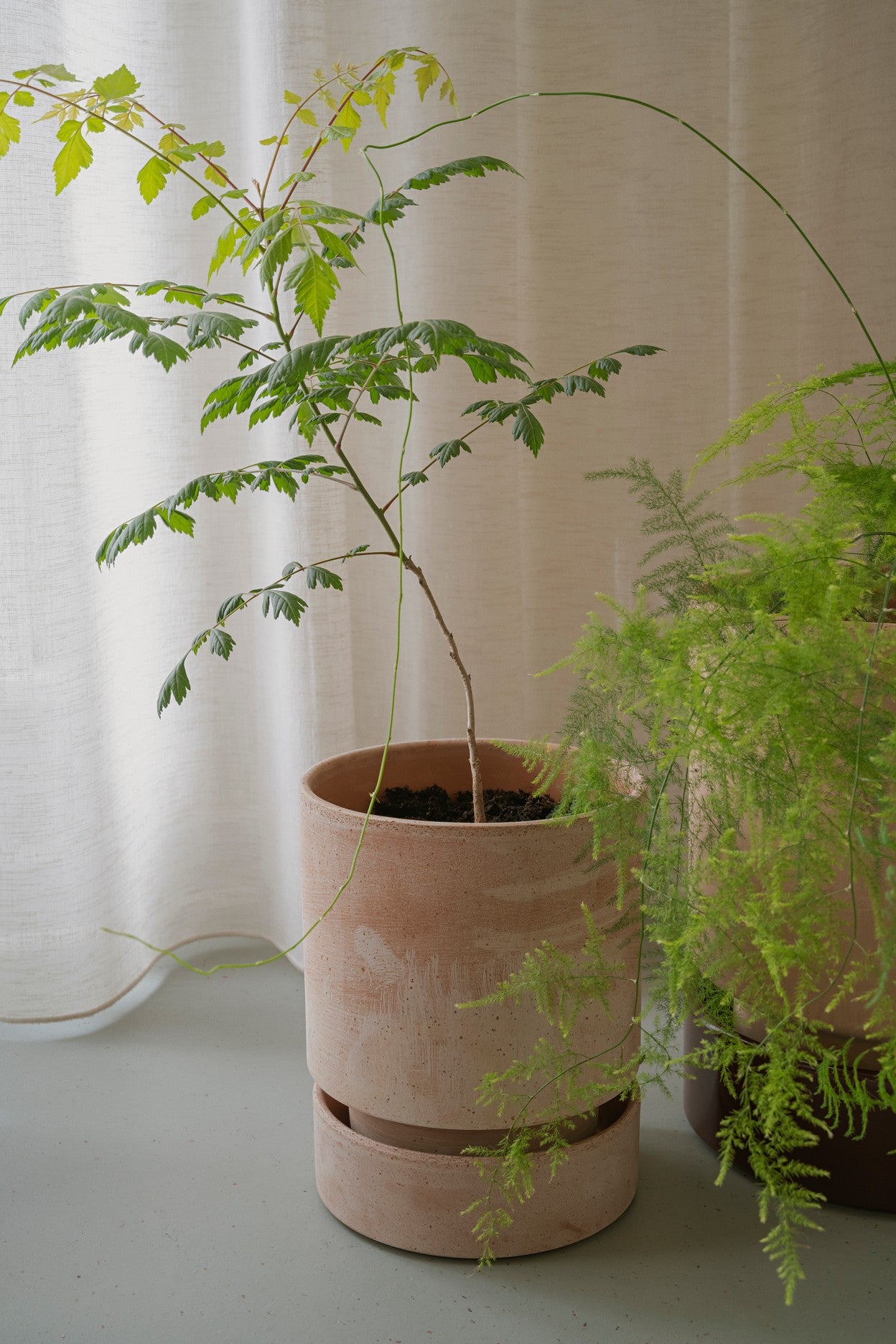 Hoff Pot Ø18cm | Rose Clay