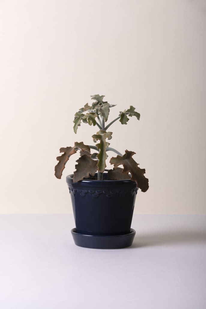 Københavner Plant Pot | Glazed in Sapphire Blue