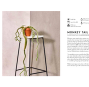 Little Book, Big Plants