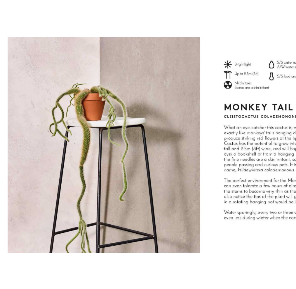 Little Book, Big Plants