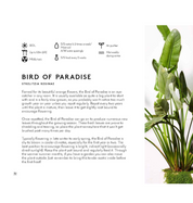 Little Book, Big Plants