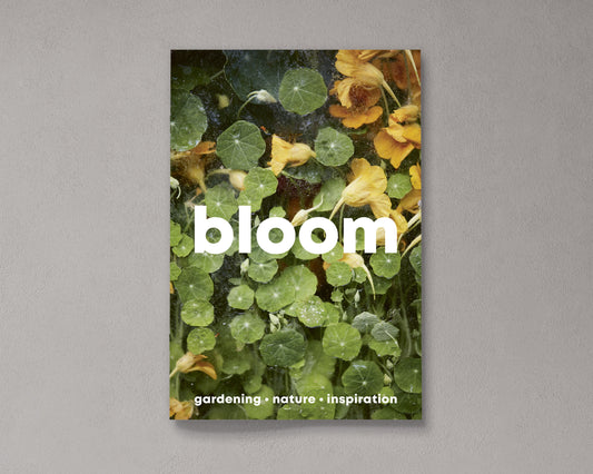 Bloom Magazine Issue 15 Autumn/Winter 2023