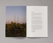 Bloom Magazine Issue 15 Autumn/Winter 2023