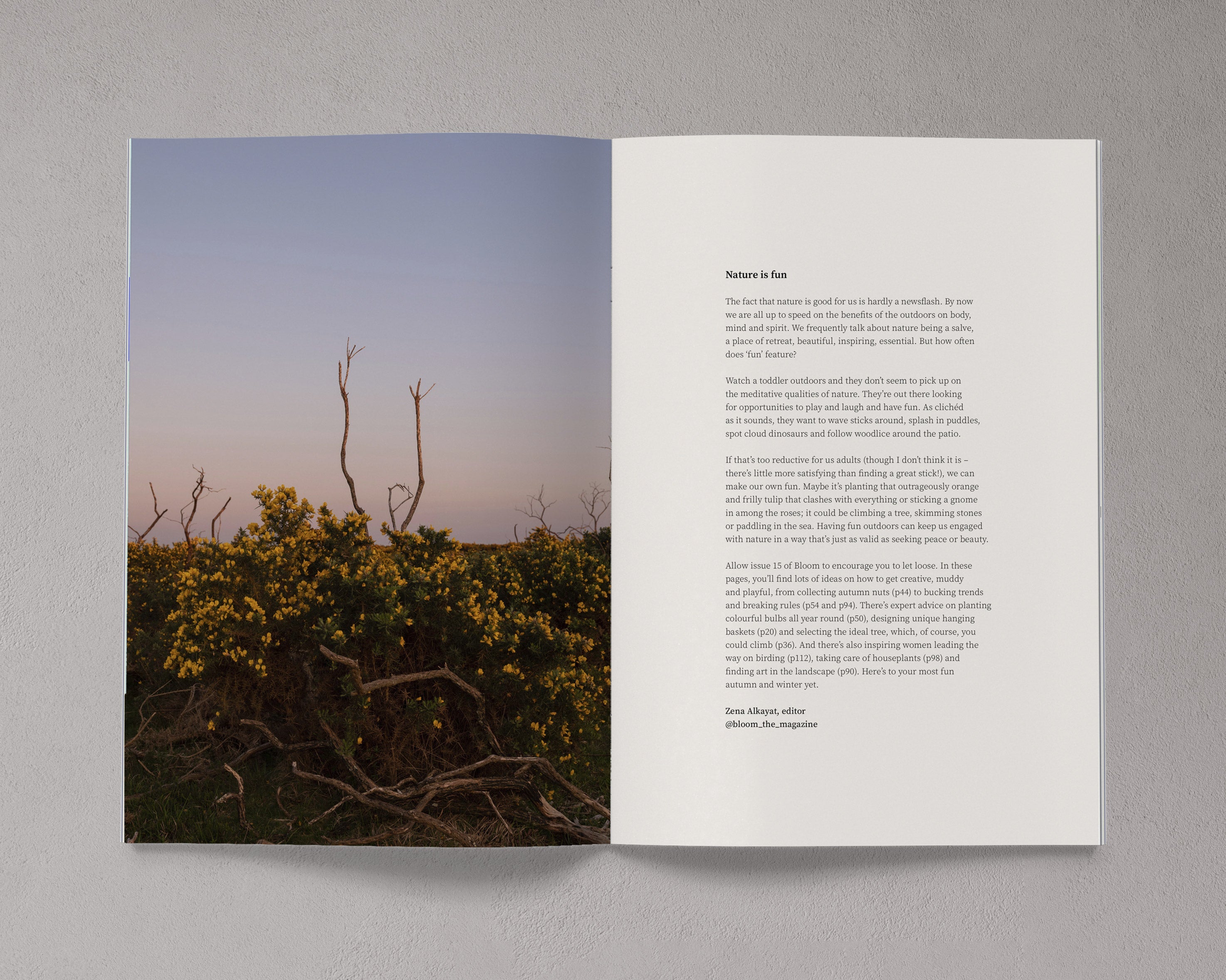 Bloom Magazine Issue 15 Autumn/Winter 2023