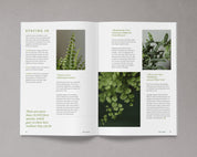 Bloom Magazine Issue 15 Autumn/Winter 2023