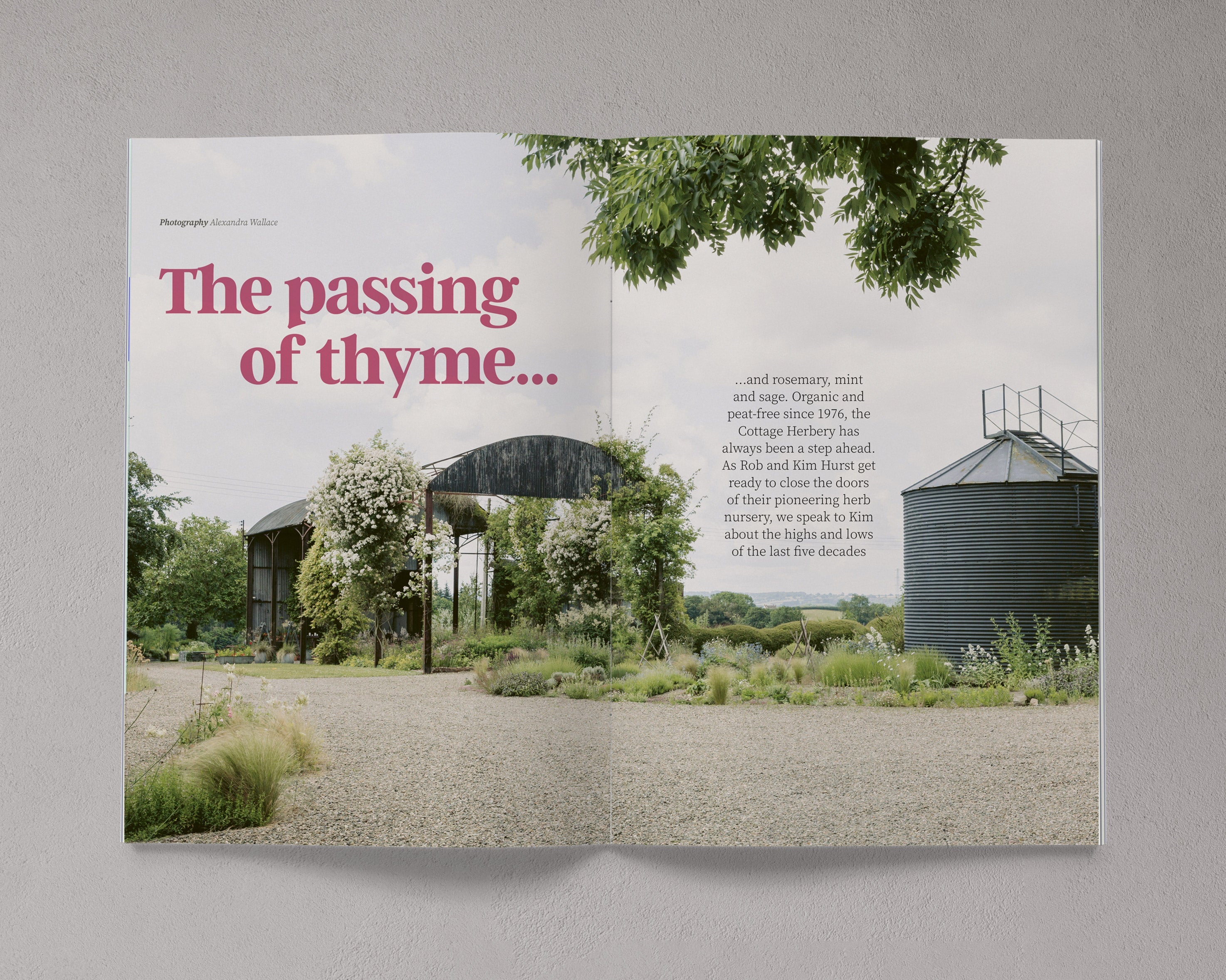 Bloom Magazine Issue 15 Autumn/Winter 2023