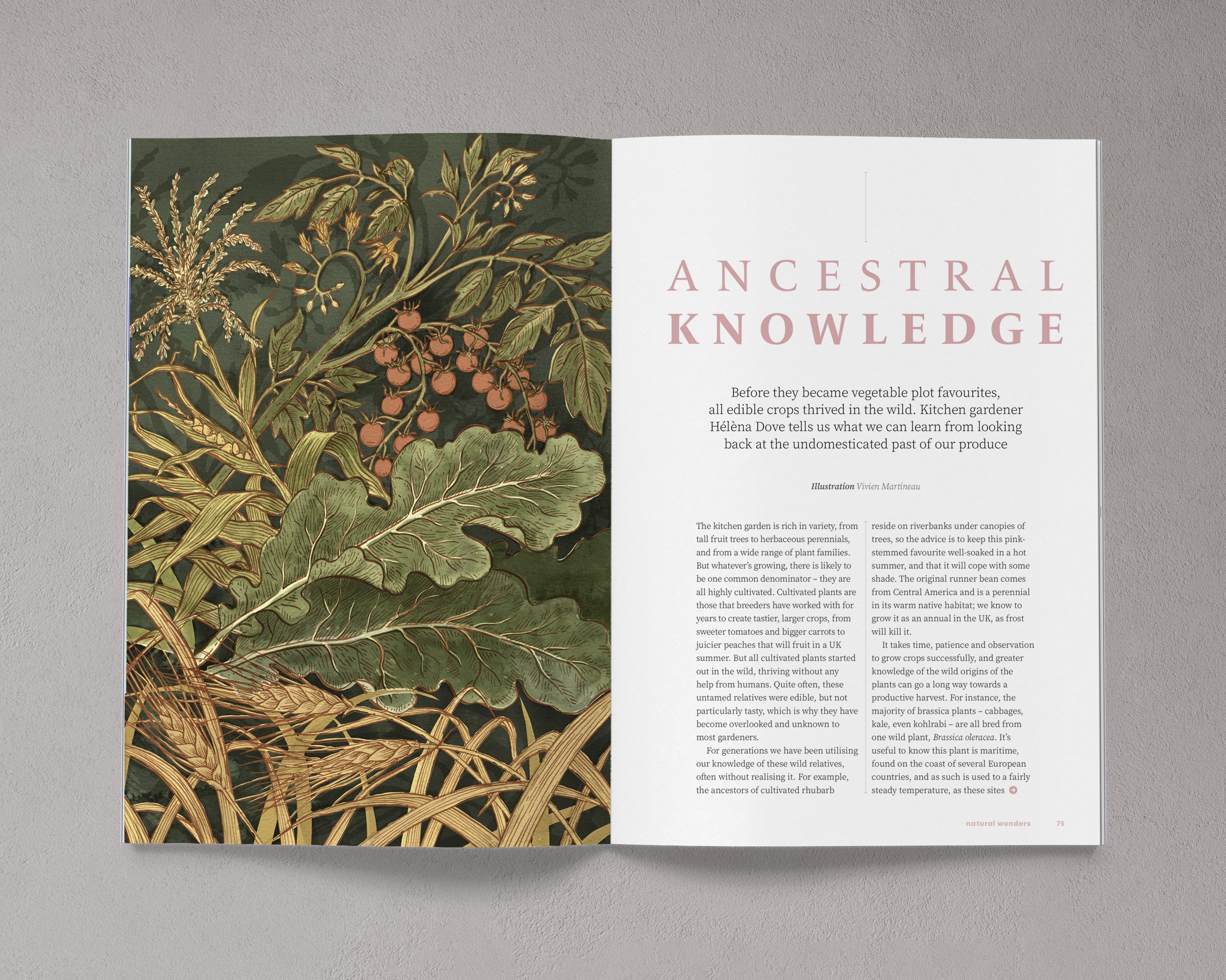 Bloom Magazine Issue 15 Autumn/Winter 2023