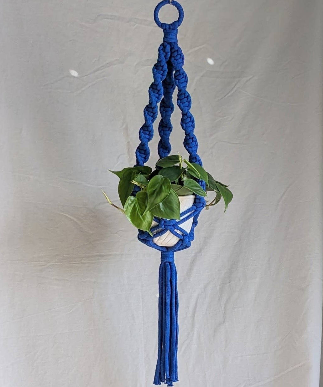 Blue macrame plant hanger with a white pot and green plant against a plain background