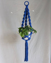 Blue macrame plant hanger with a white pot and green plant against a plain background