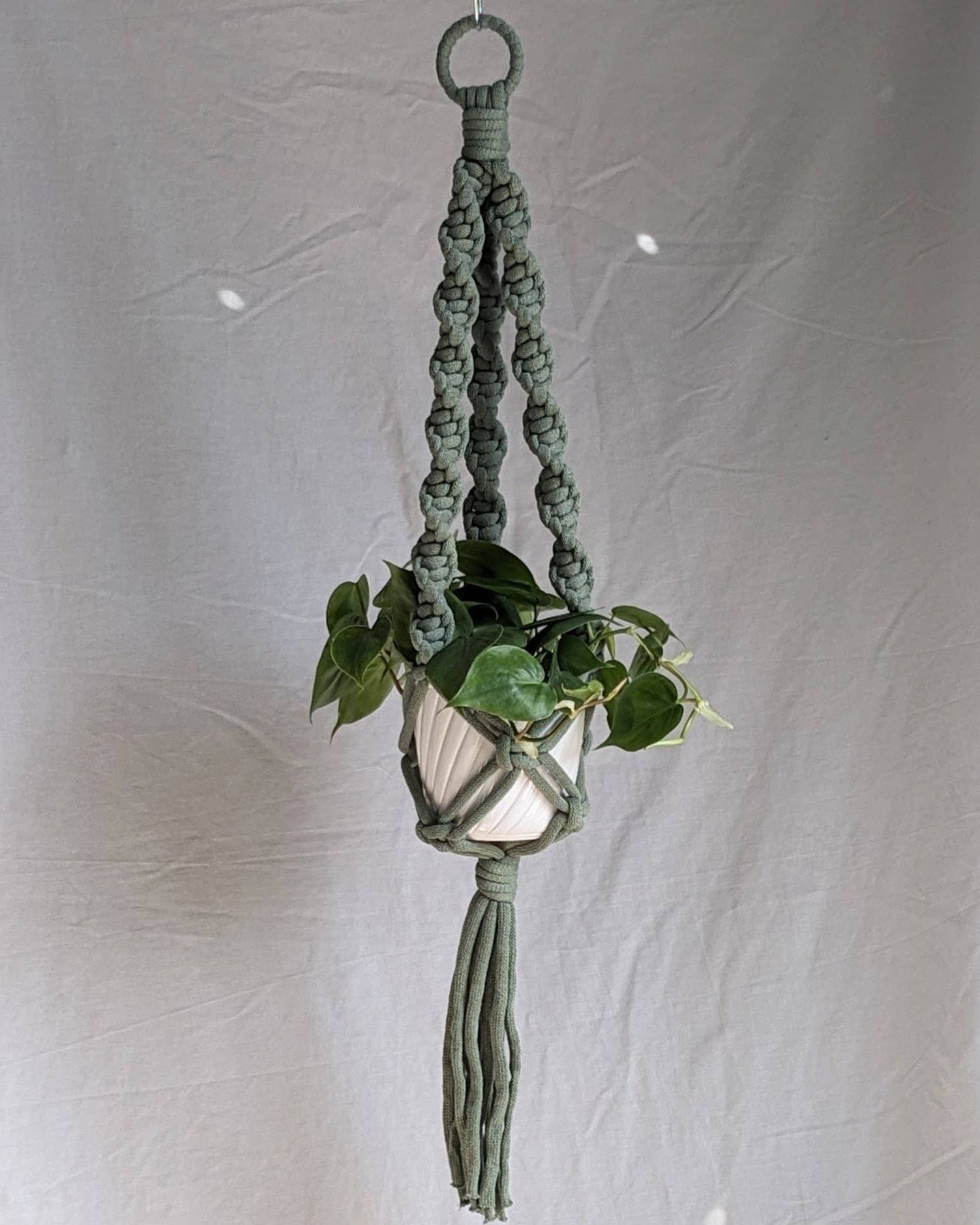 Green macrame plant hanger with a plant against a plain background