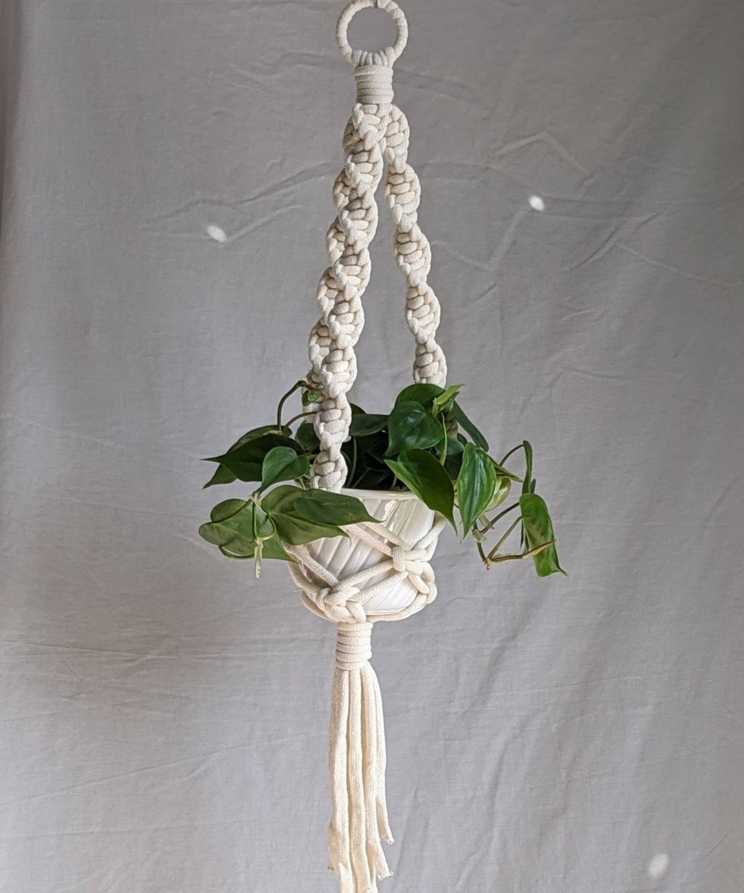 Macrame plant hanger with a plant against a plain background