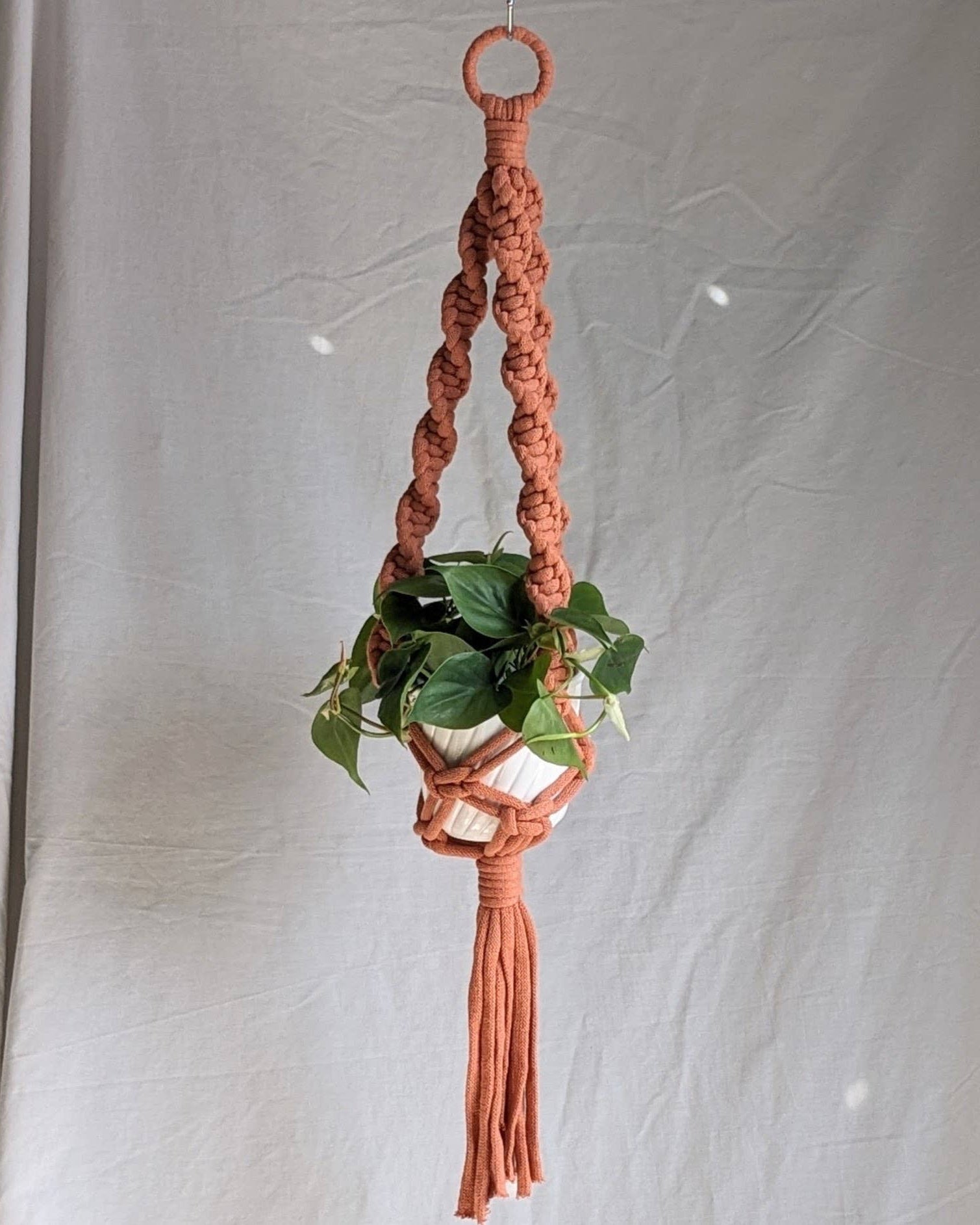 Macrame plant hanger with a plant against a plain background