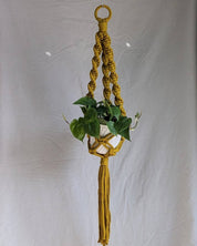 Yellow macrame plant hanger with a plant against a plain background