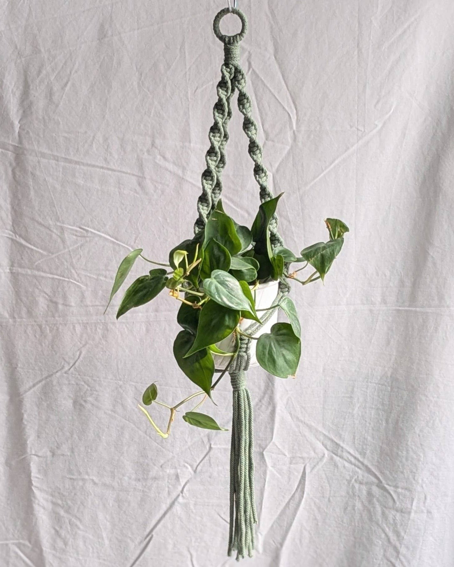 Hanging plant holder with a green plant against a white fabric background