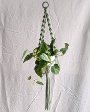 Hanging plant holder with a green plant against a white fabric background