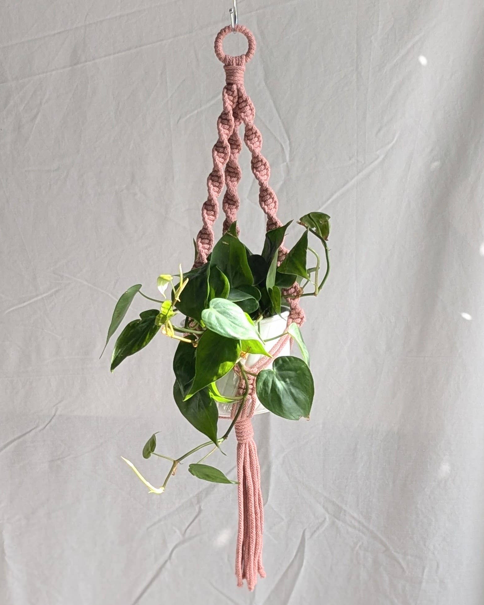 Pink macrame plant hanger with a green plant against a white background