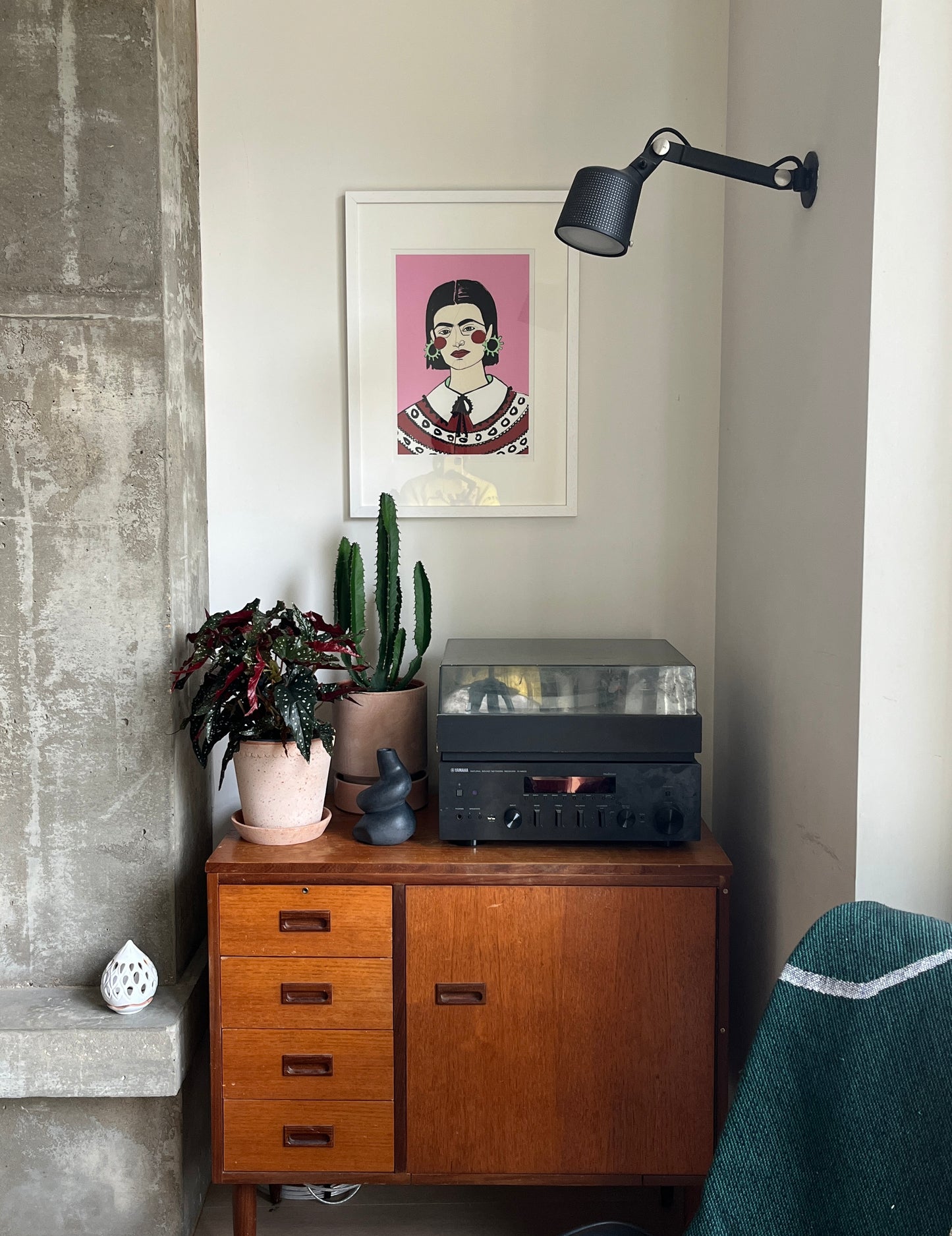 Grow Your Jungle Houseplant Subscription