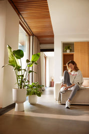 Vibes Coupe Fold Plant Pot | White / Deep Blue | Ø14cm, Ø30cm