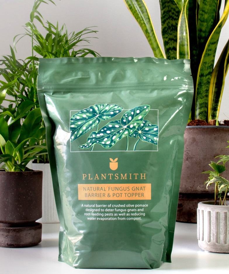 Fungas-gnat-pot-topper1.png
