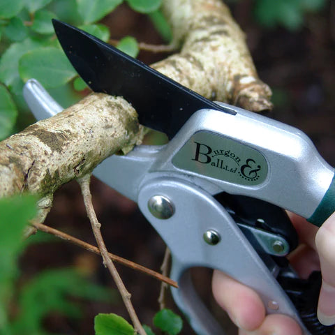 Ratchet Pruner - RHS Endorsed