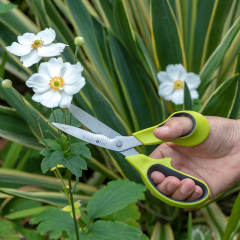 Garden and Flower Scissors